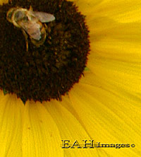 IMG_0032_200.jpg